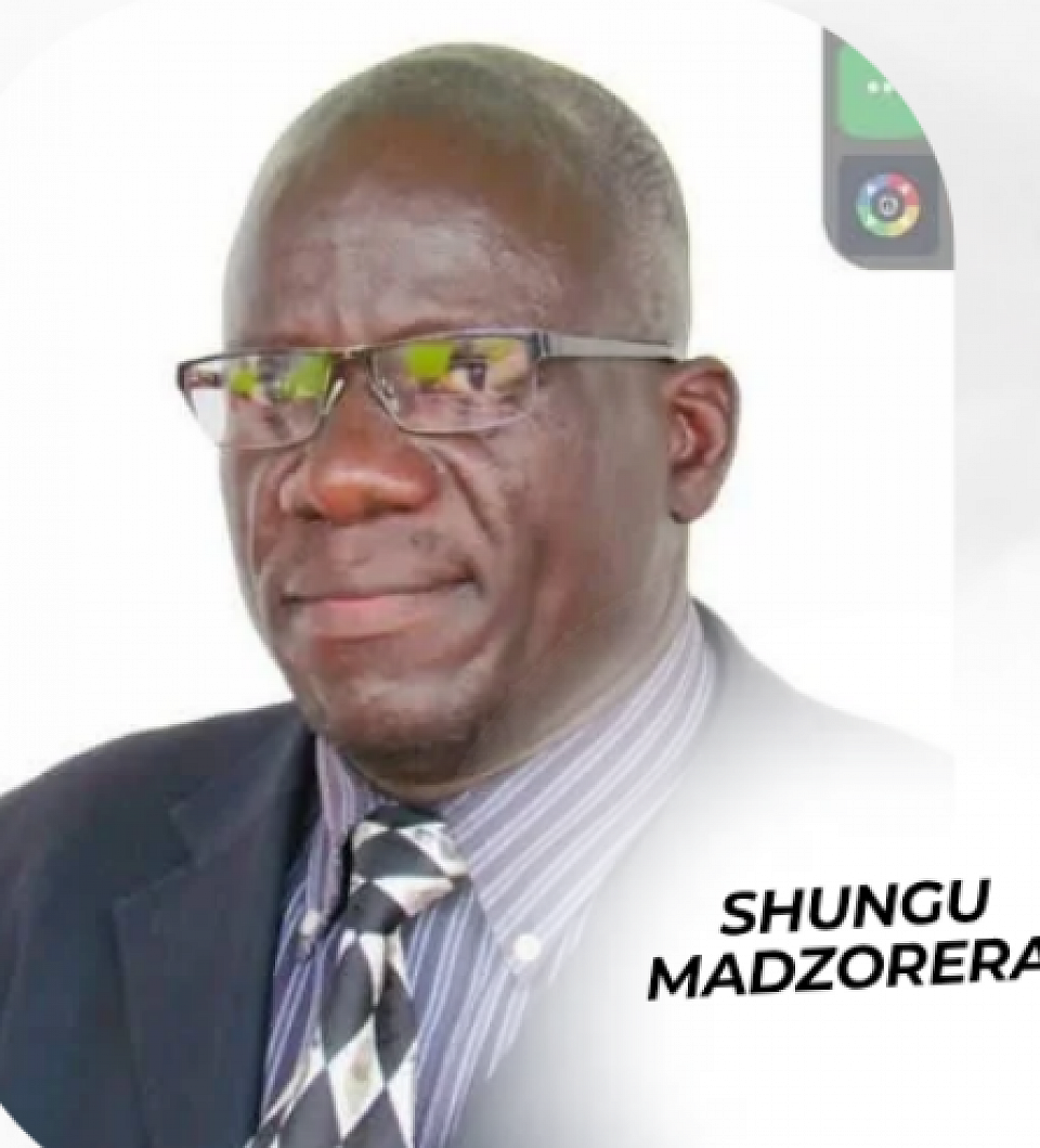 Mr. Shungu Madzorera serves as the Vice President of NESAB AFRICA, supporting the organization's mission to promote quality education and skills development in Africa. He brings valuable expertise to his role, contributing to NESAB AFRICA's partnerships and initiatives.